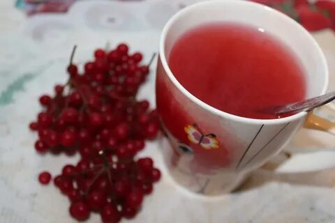 Сок калины польза