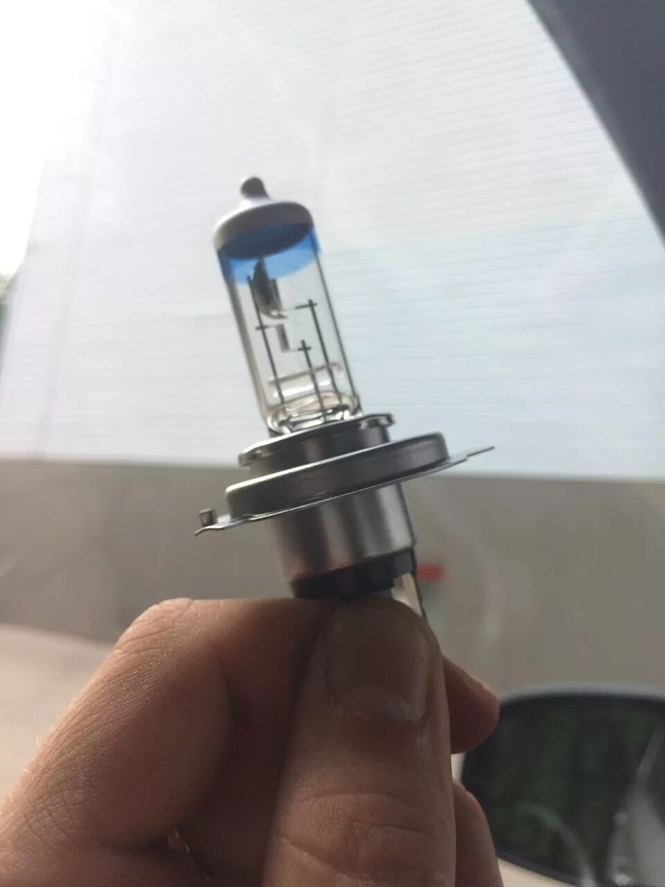 Лампа ближнего света ниссан ноут. Лампа ближнего света ниссан ноут 2007. Лампа ближнего света ниссан ноут. Лампа ближнего света ниссан ноут. Nissan note лампа птф.