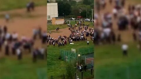 Выстрелы в брянске