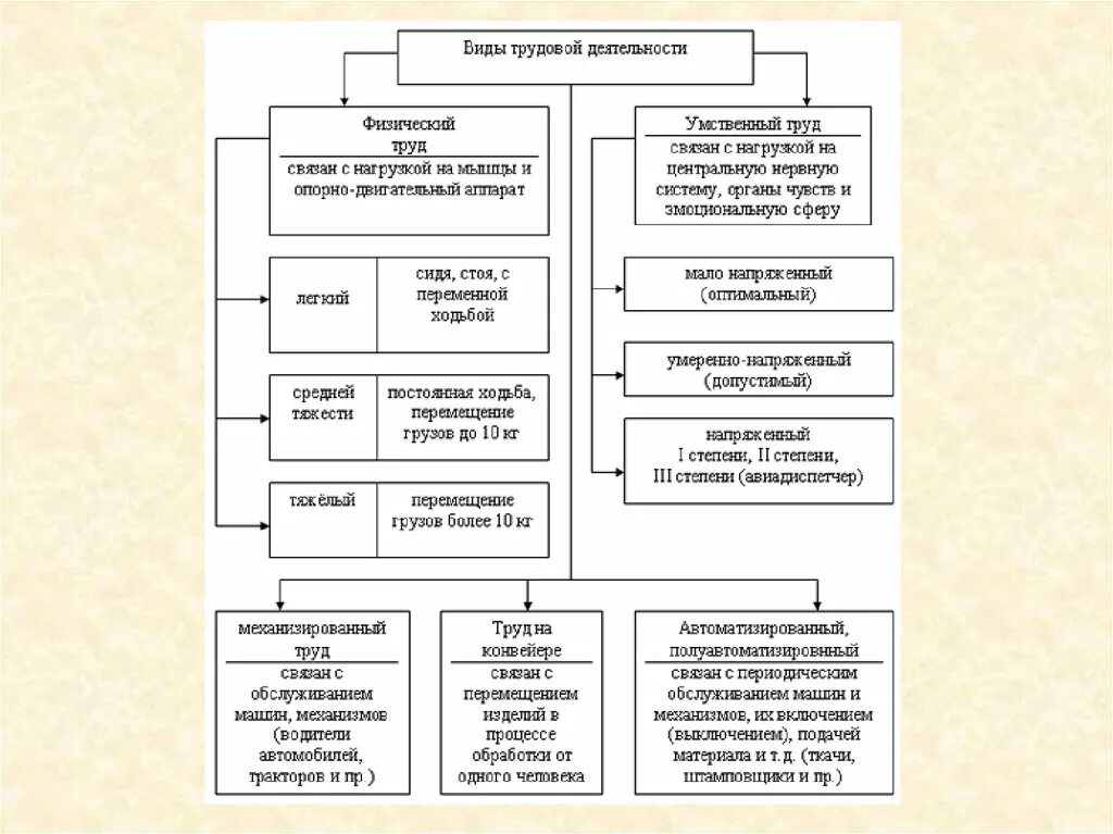 Классификация основных видов организации трудовой деятельности. Классификация основных форм трудовой деятельности. Физическая классификация основных форм трудовой деятельности. Виды трудовой деятельности человека схема. Трудовая деятельность и ее организация