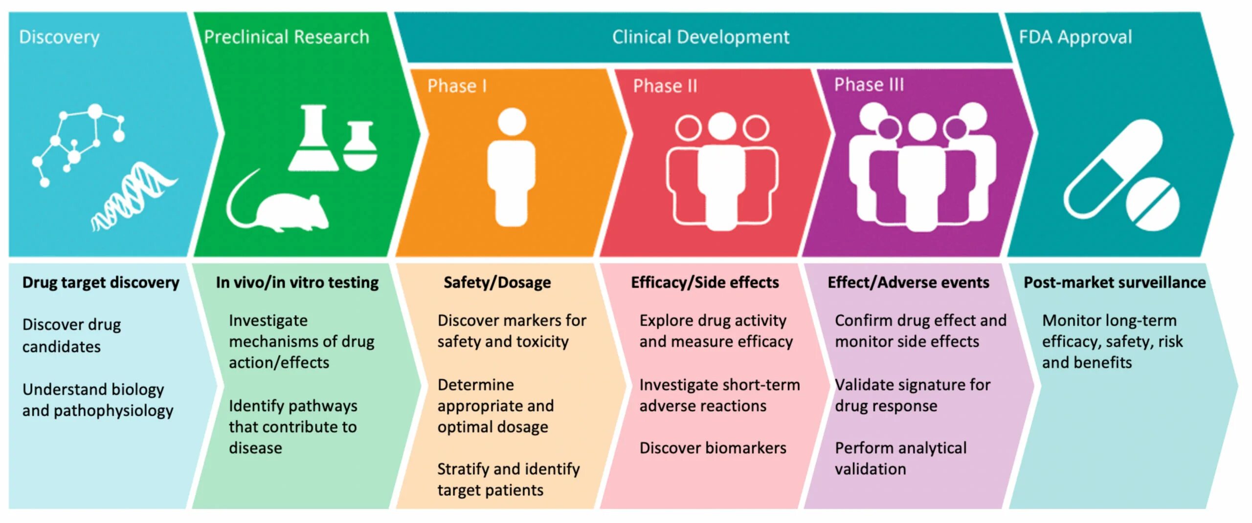 Not only research. Процесса r&amp;d. r d фарма. research and development в fmcg. клуб research development.