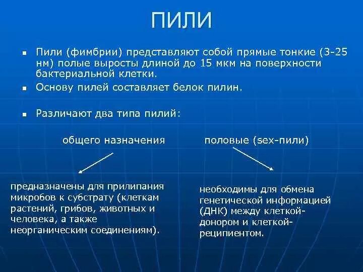 Пили бактерий функции. Пили функции. Функции пилей у бактерий. Пили бактерий методы выявления. Пили у простейших