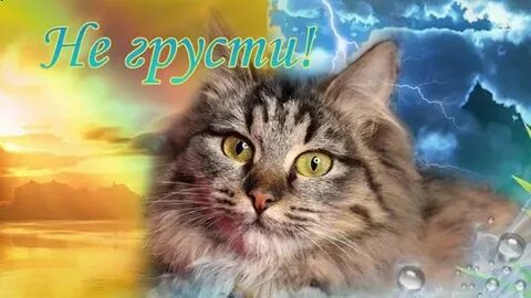 Не печалься мой друг не грусти