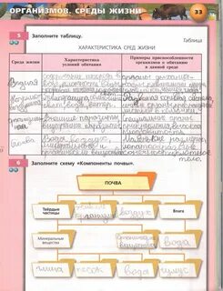 Рабочая тетрадь по биологии 5-6 класс. Биология. Живой организм. Тетрадь-тренажё