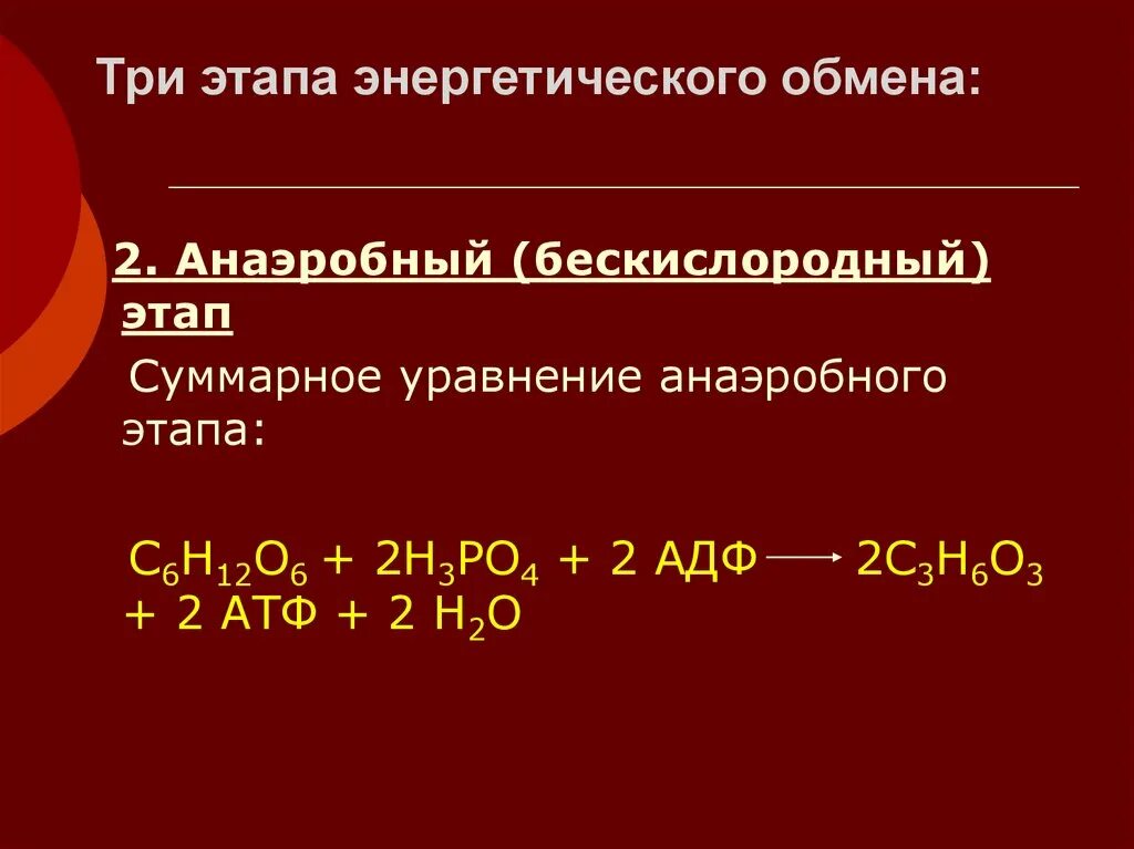 охарактеризуйте этапы энергетического обмена. схема энергетического обмена егэ биология. этапы диссимиляции энергетического обмена. энергетический обмен диссимиляция этапы. схема процессов энергетического обмена.