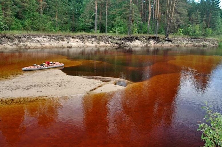 заповедник мещера владимирская область. река пра мещерский заповедник. пре р. национальный парк мещерский рязань. национальный парк мещерский река пра.