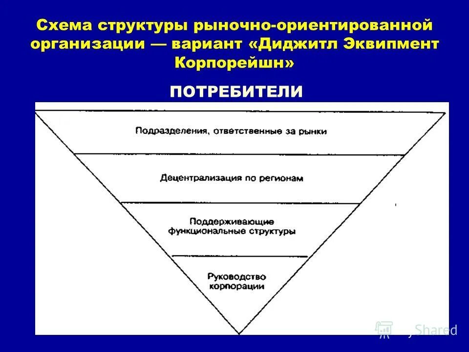 Организация ориентированная на рынке. Организации ориентированные на рынок структура. Рыночно-ориентированная организационная структура. Структуры управления, ориентированные на рынок – это:. Рыночно ориентированным учреждением.