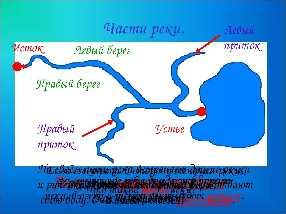 Почему протекает река. Река Дон притоки Исток русло Устье.