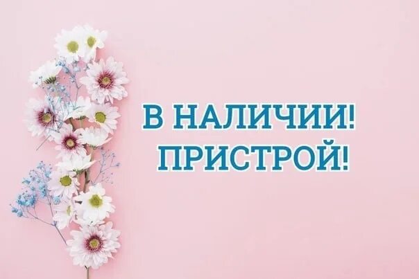 Наличие неприятно. Вещи в наличии. Пристрой в наличии. В наличии. В наличии надпись.