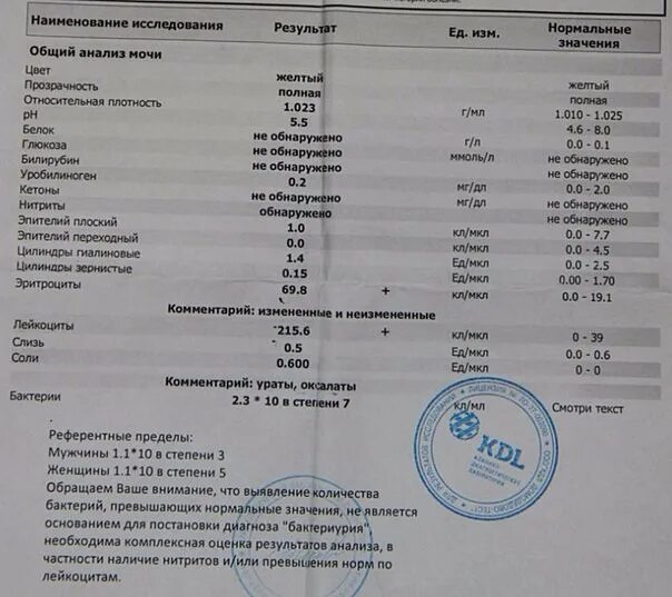 Анализ мочи бактерии результат 1. Анализ мочи бактерии норма. Показатель бактерий в моче. Норма бактерий в моче.