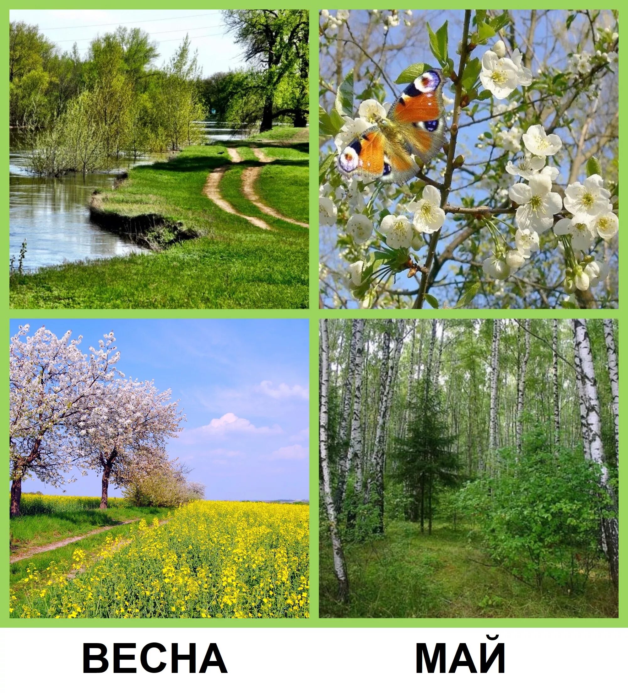 Форумы времена года. Времена года картинки. пейзажи всех времен года. поры года картинки. фото времена года весна.