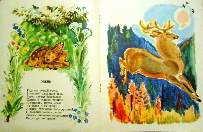 Стихотворение т белозеров. Стихотворение т белозеров. Стихотворение т. Стихи тимофея белозерова. Стихотворение тимофея белозёрова.