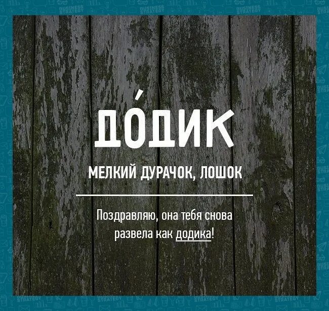 Додик значение этого слова. Редкие бранные слова русского языка. Красивые редкие слова. Додик слово. Хабалка это простыми словами значение