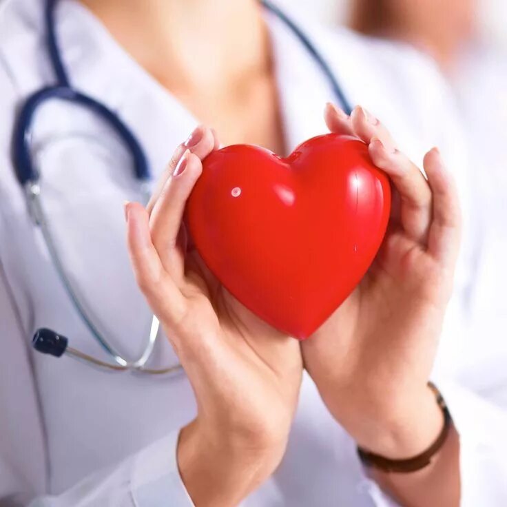 Сердце медицина. Сердце кардиология. Здоровое сердце. Терапия сердца.