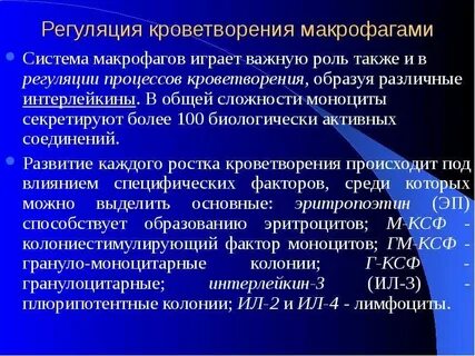 Система макрофагов