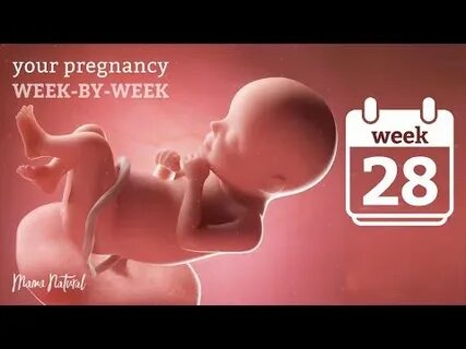 28 неделя видео