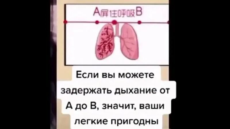 Тест на легкие. Как проверить работу легких. Как проверить работу легких. Тест на проверку легких. Как самостоятельно проверить легкие.