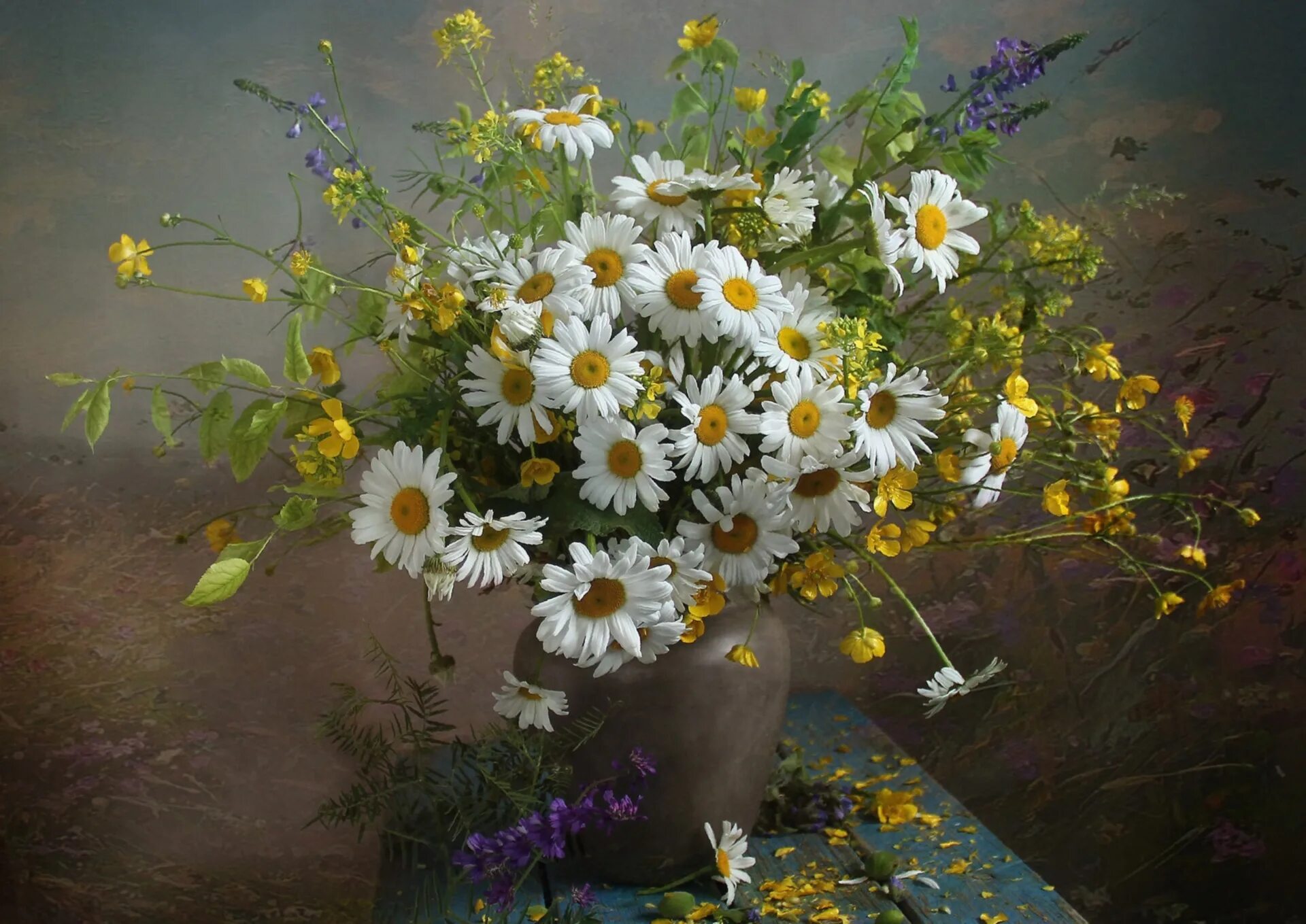 букет ромашек. ромашки полевые цветы букеты. букет ромашек. букет "11 ромашек". букет ромашек.