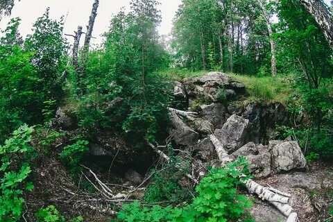 Красный гуляй ульяновская область