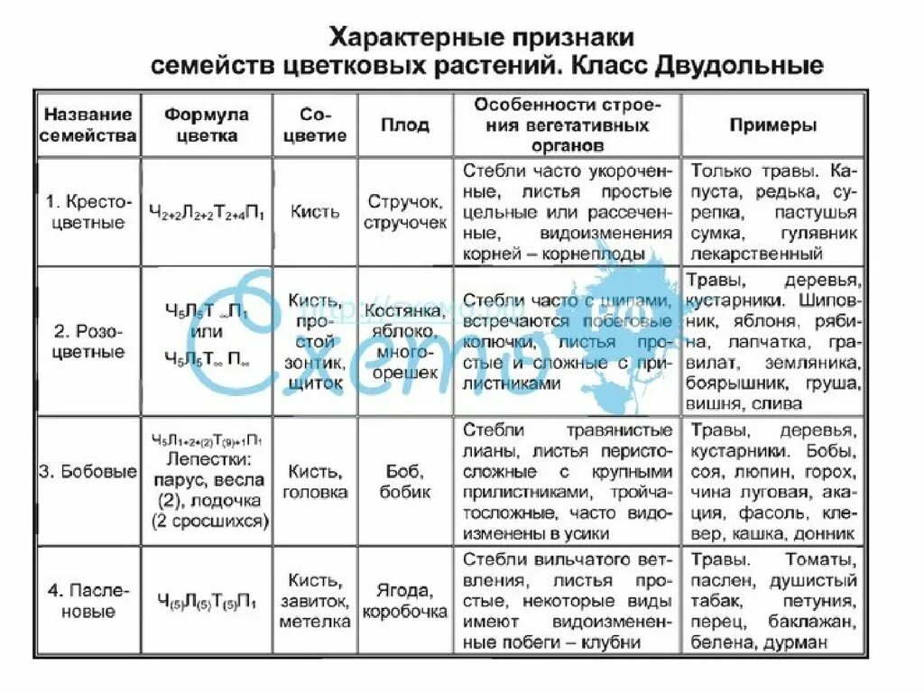 Покрытосеменные представители таблица. Основные признаки семейств цветковых растений таблица 7 класс. Главные семейства у однодольных и двудольных растений таблица. Семейства покрытосеменных растений таблица 6 класс. Таблица семейства цветковых растений 6 класс биология.