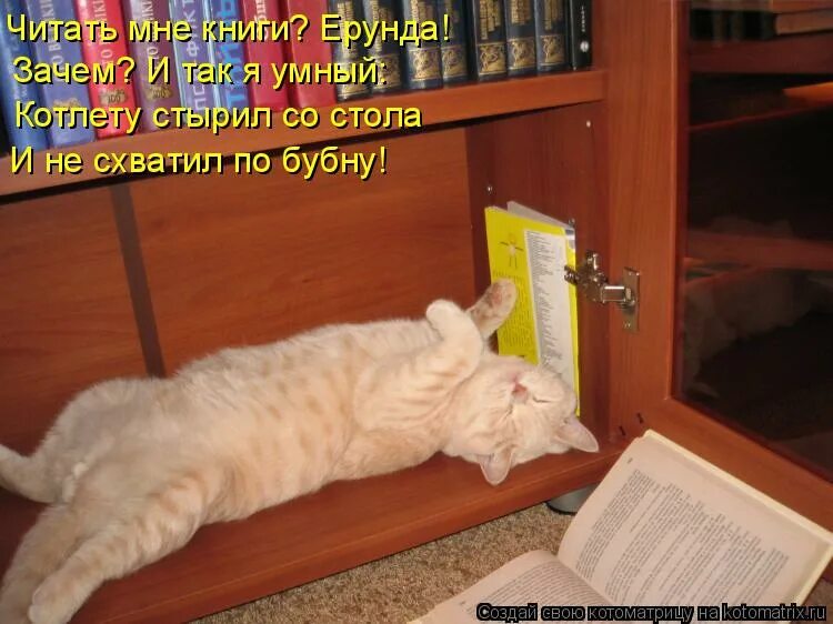 читанная вчера