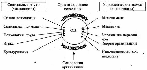 Связь управления с другими науками