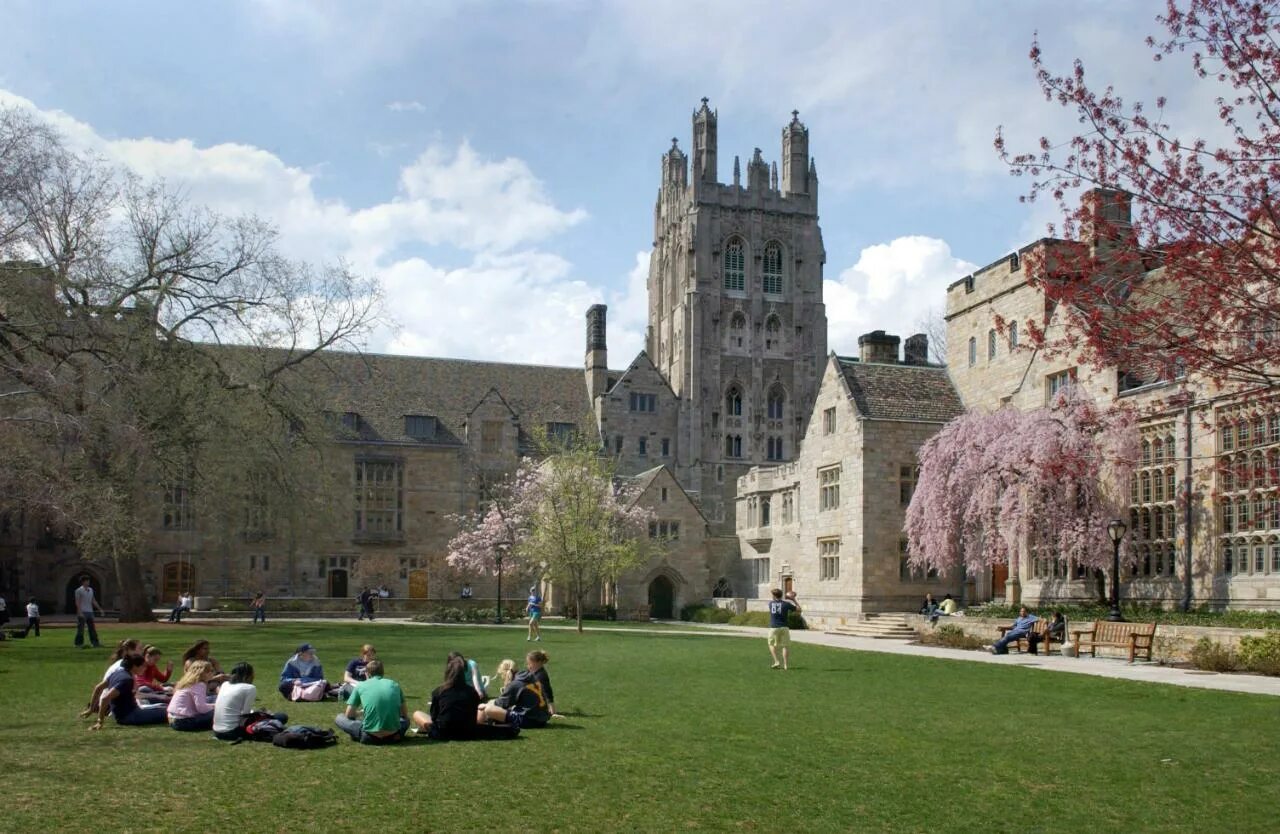 Йельский университет (Нью-Хейвен, Коннектикут). Йельский университет США. Yale университет США. Йельский университет кампус.