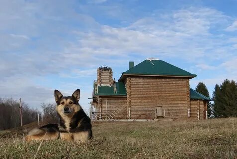 Погода в нижнем пальнике на 10 дней