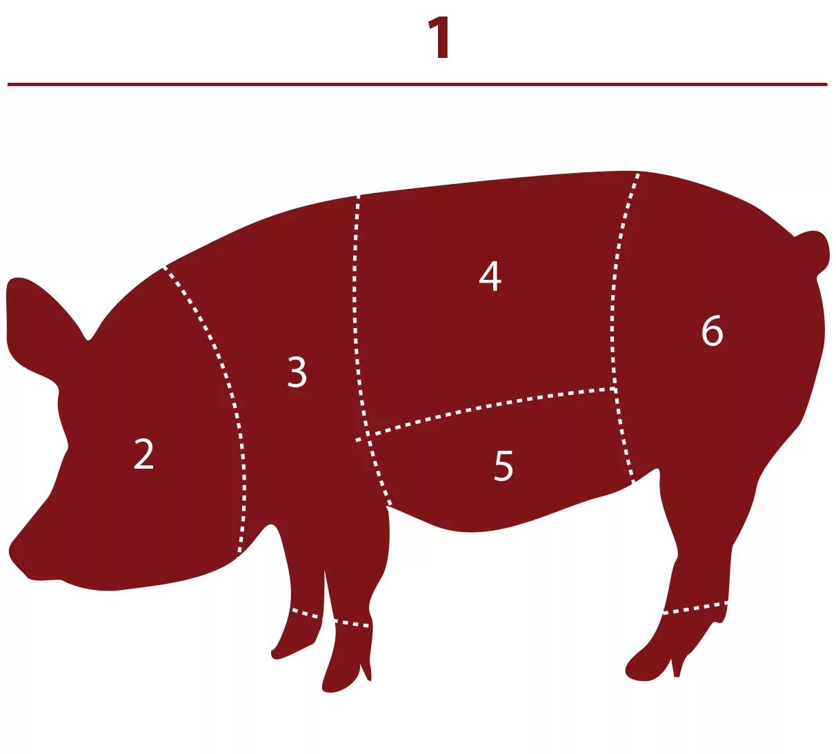 Части свиньи. Части тела свиньи. Части туши кабана. Названия частей свиньи