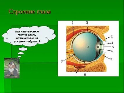 Отметить на глаз