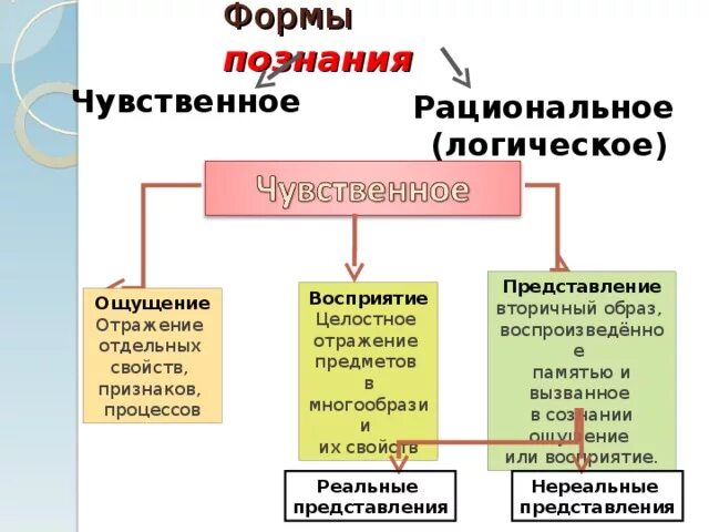 1 чувственное 2 рациональное логическое. Формы логического познания. Формы чувственного и логического познания. Формы познания 1) чувственное 2) рациональное (логическое). Виды познания в логике.