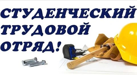 Студенческая трудовая