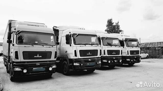 Вакансии в пензе водитель категории в. Daf xf 105 белый. Вакансии в пензе водитель категории в. Водитель автобуса турист города пензы. Водитель категории се.