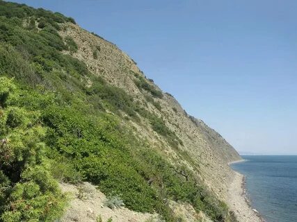 Объясните почему реки черноморского побережья называют непредсказуемыми