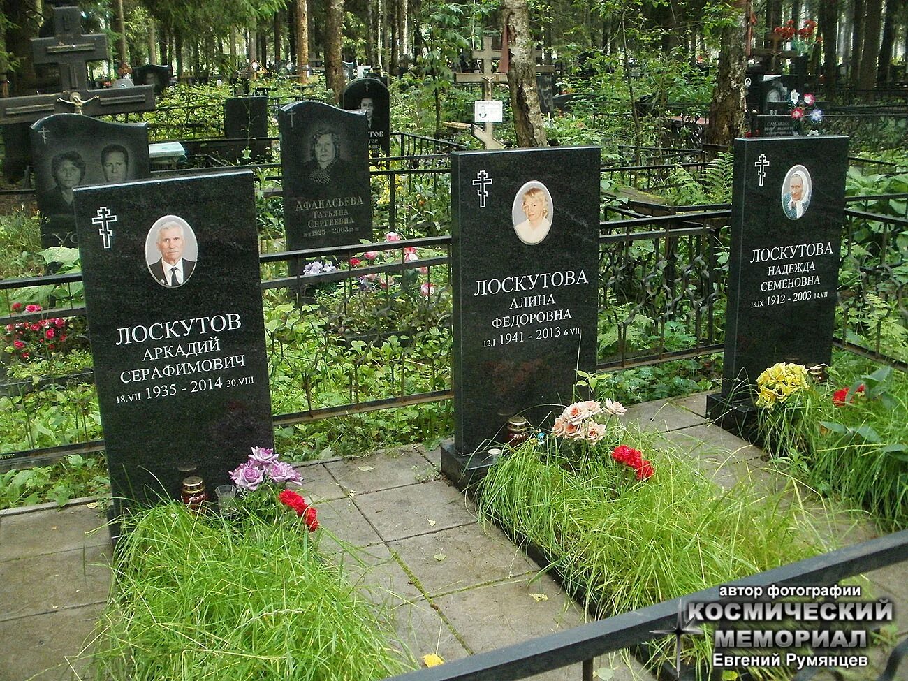 Невзоровское кладбище в ивантеевке. Кладбище невзорово пушкинский район. Невзоровское кладбище в пушкино. Кладбище невзорово пушкинский район. Кладбище невзоровская ивантеевка.