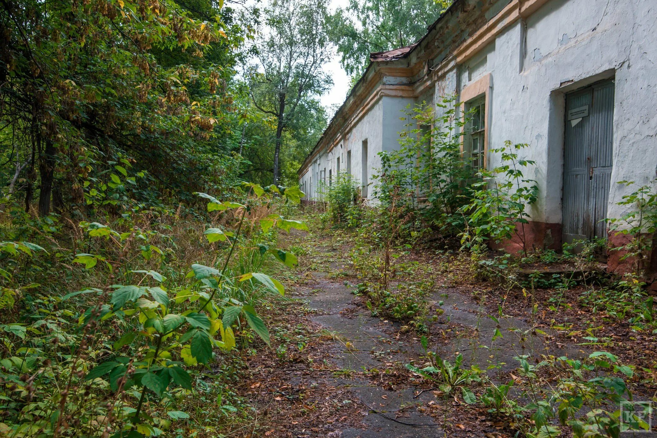 Здание военного госпиталя казань. 7 городская больница луганск. Новый госпиталь в луганске. Брянка лнр госпиталь. Серышева госпиталь хабаровск.