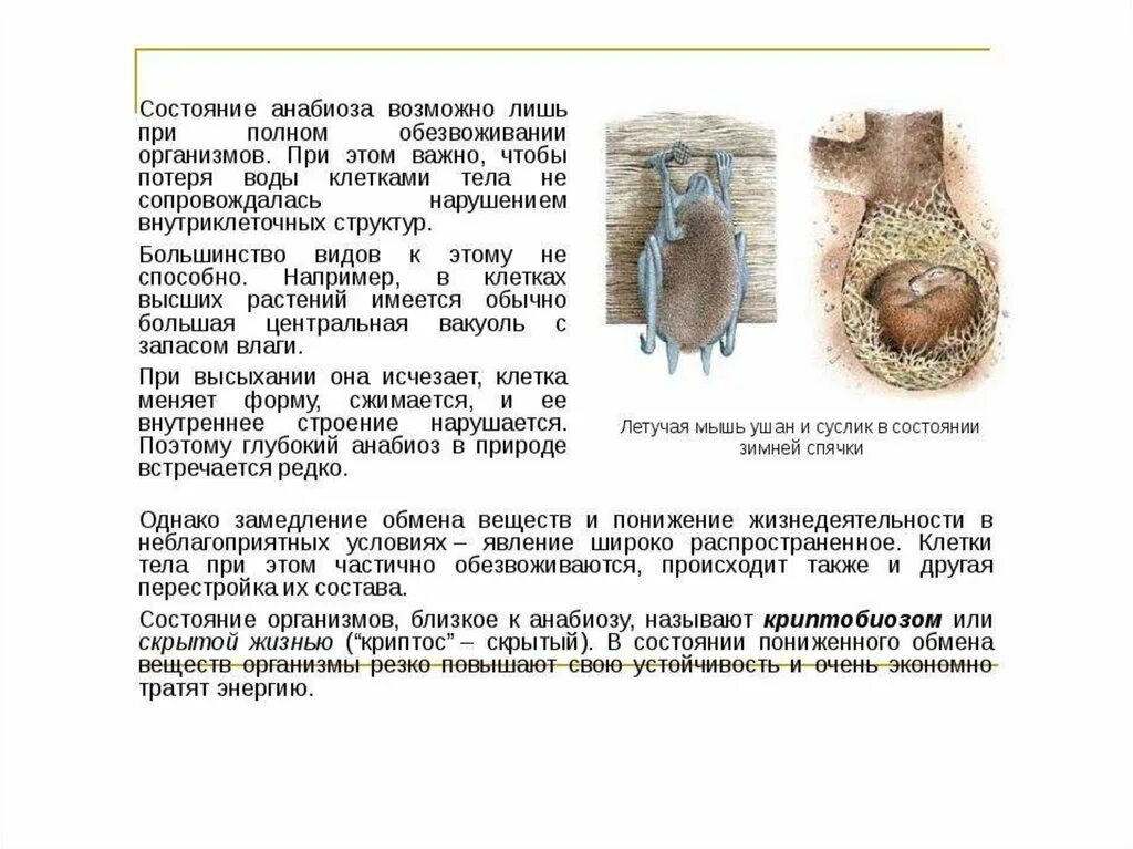 Условия анабиоза