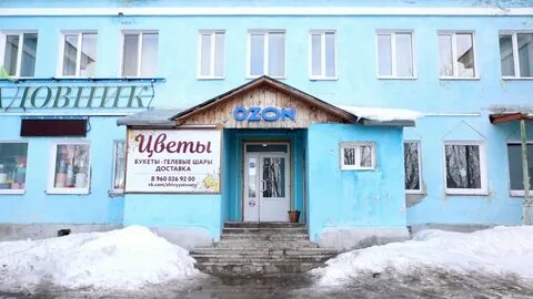 Пицца кировск мурманская