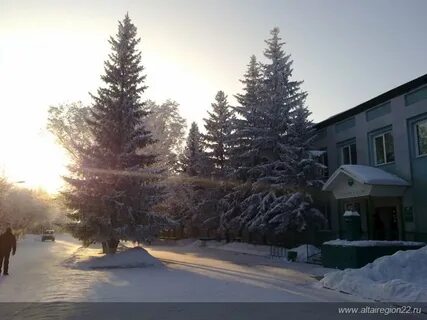 Погода в бурла 5 дней