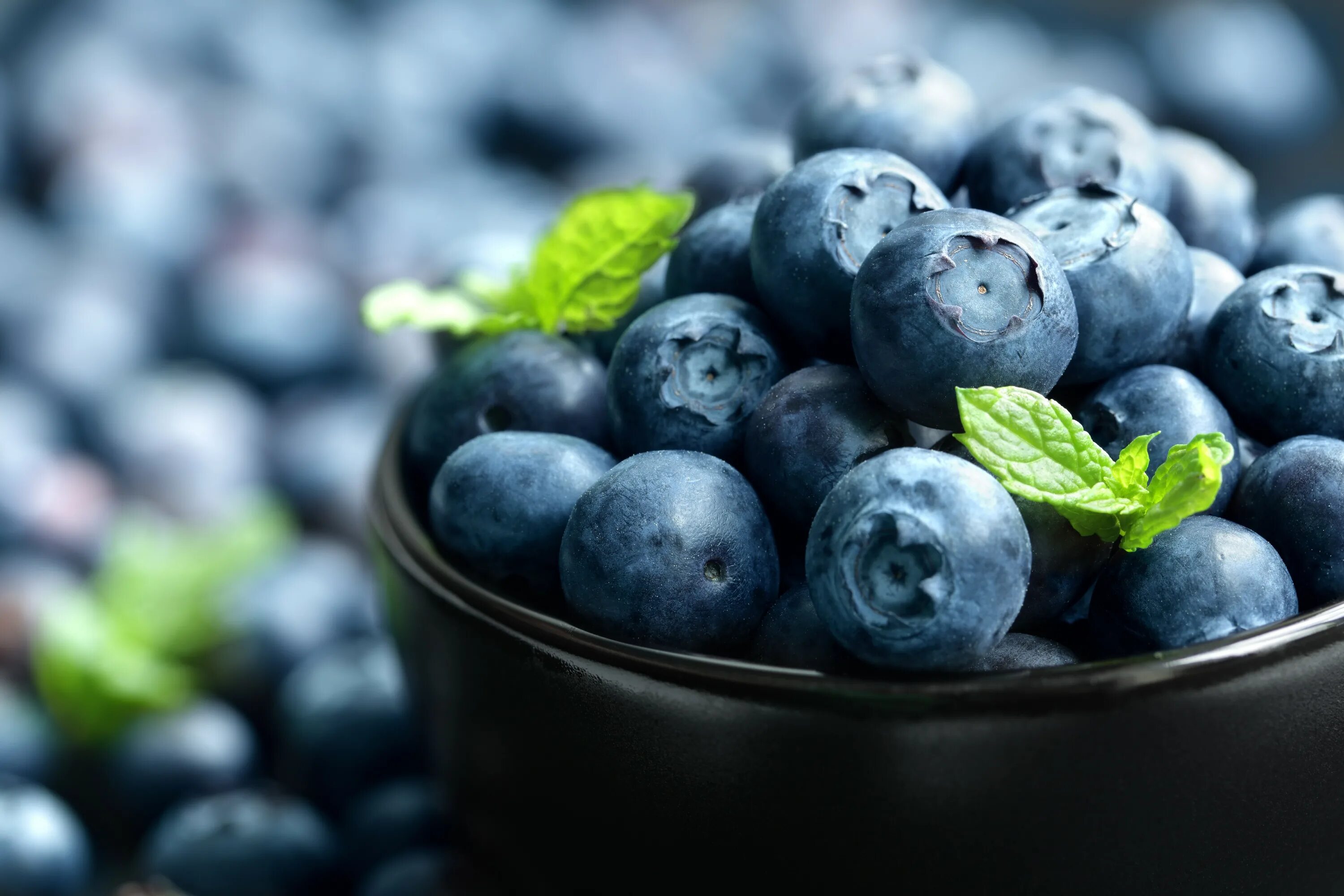 Blueberry berry. Ягода голубика. Черника голубика смородина. Черничка ягодка голубика. Черника и голубика.