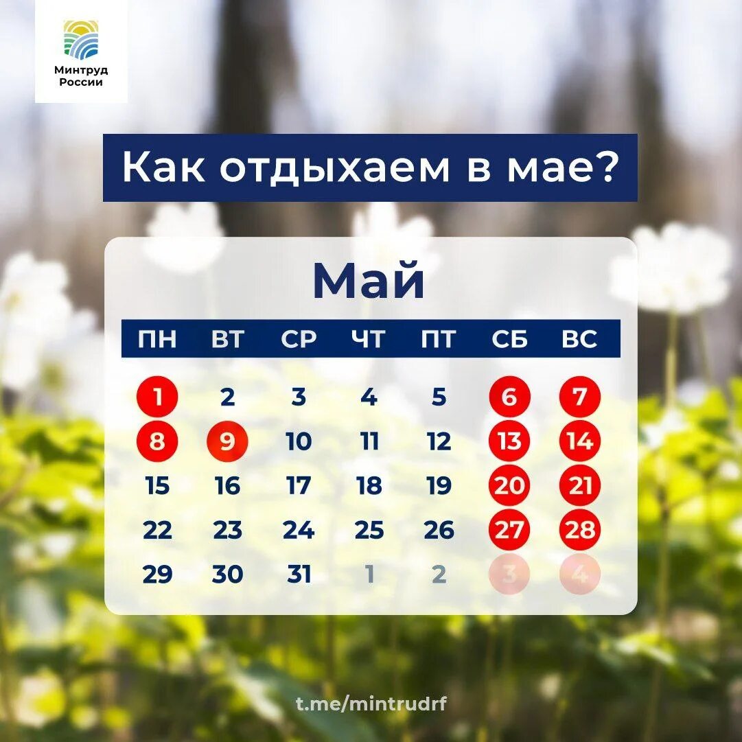 Минтруд праздничные дни. Календарь майских праздников. аавхолные в мае. праздники в иак. выходные в мае.