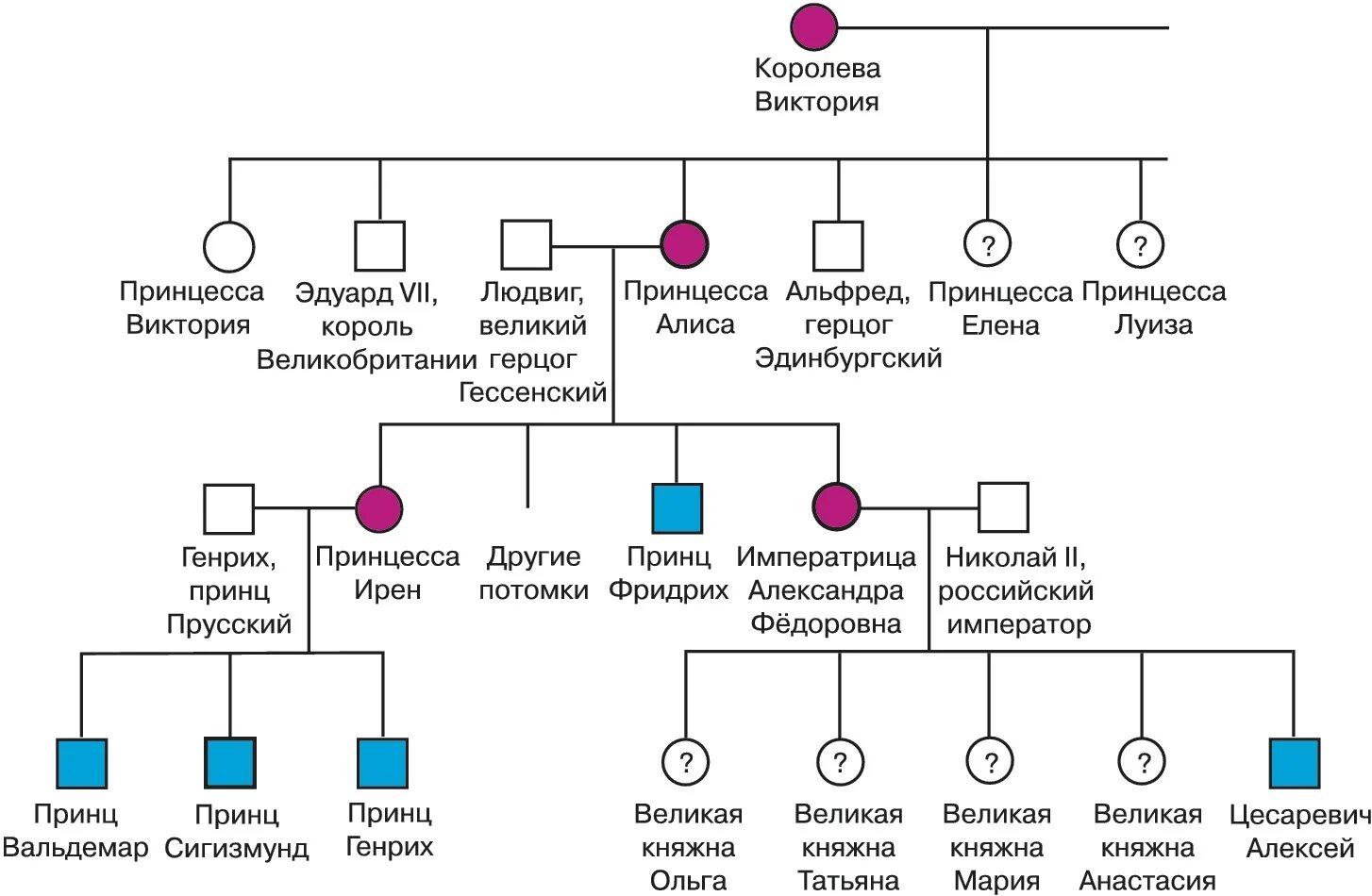 Генеалогический метод изучение родословных. Генеалогический метод изучения наследственности человека. Изучение наследования признаков по родословной. Родословная с наследованием признаков.