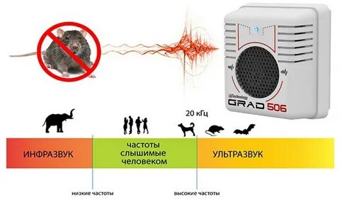 Какую частоту боятся собаки