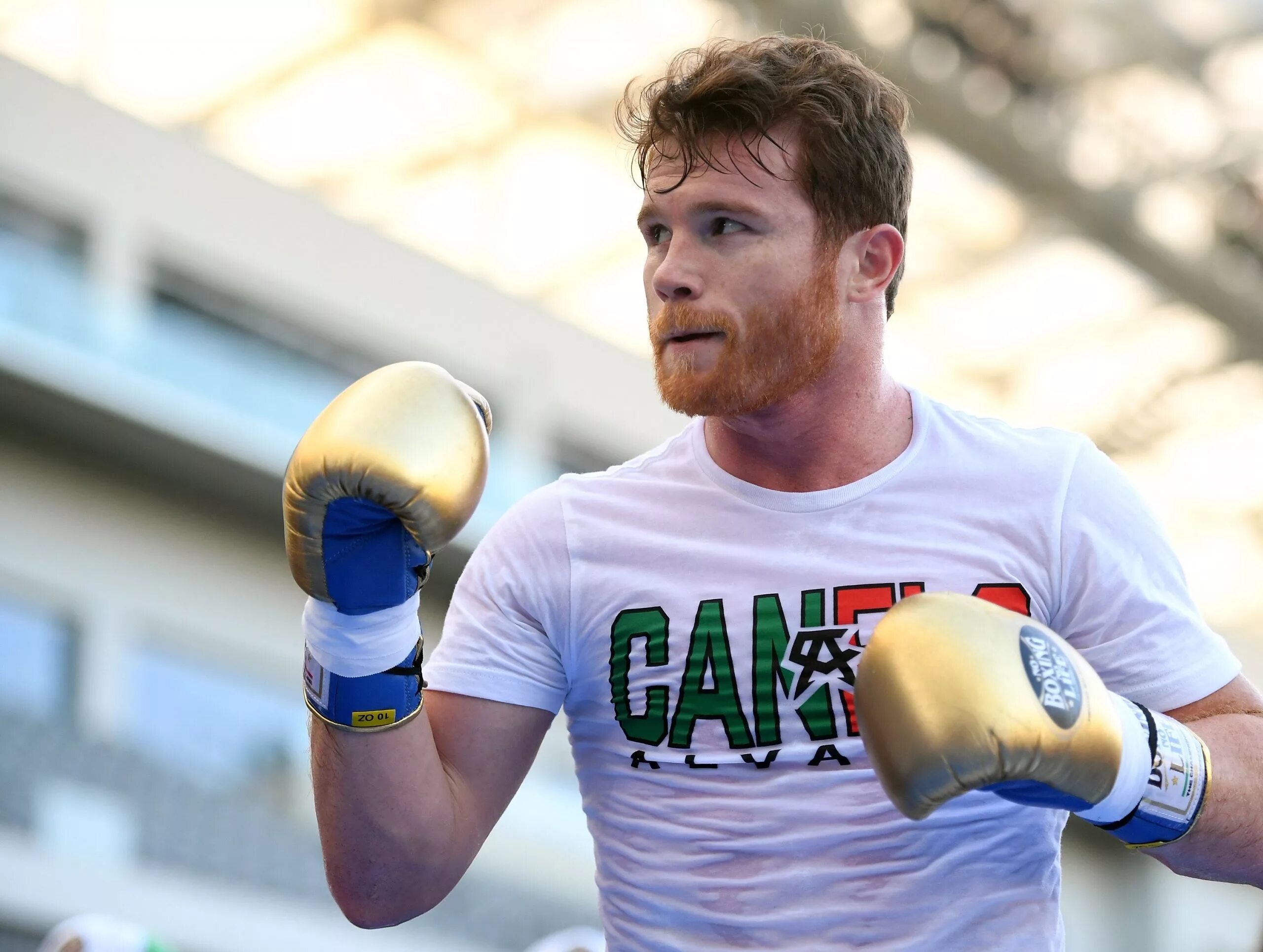 Saul canelo alvarez. Канелое. Эдди хирн сауль альварес. Мексиканский боксер сауль альварес. Канелое.