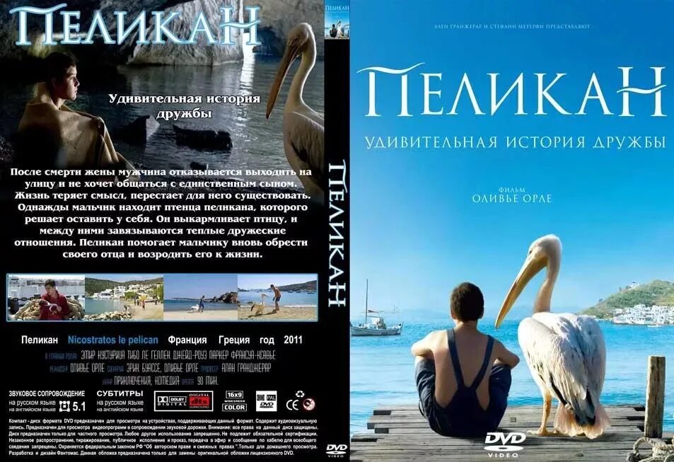 Le pelican de jonathan. Пеликан 2011 отзывы. Пеликан 2011 отзывы. Пеликан никостратос. Пеликан никостратос.