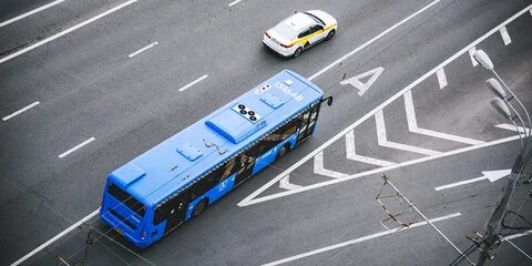 Полосы общественного движения