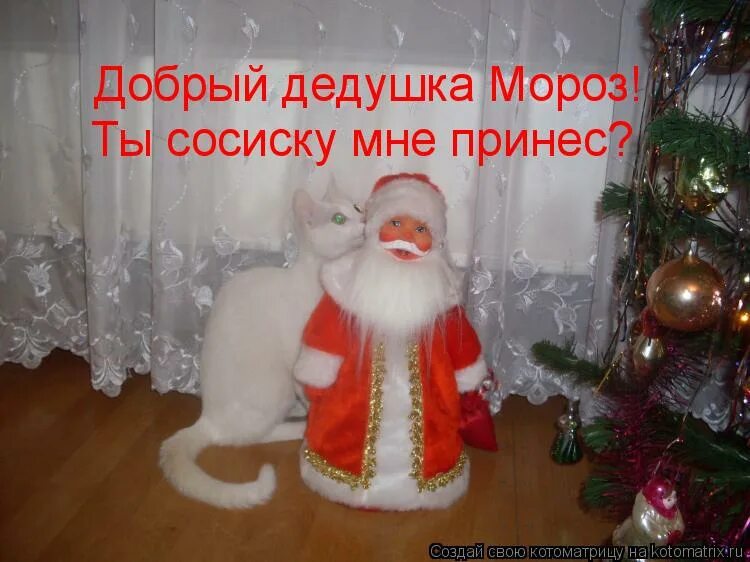 дедушка мороз борода из ваты ты подарки нам принес. стоял мороз 20 а ты принес.