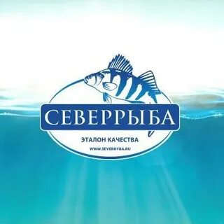 Рыбы череповец