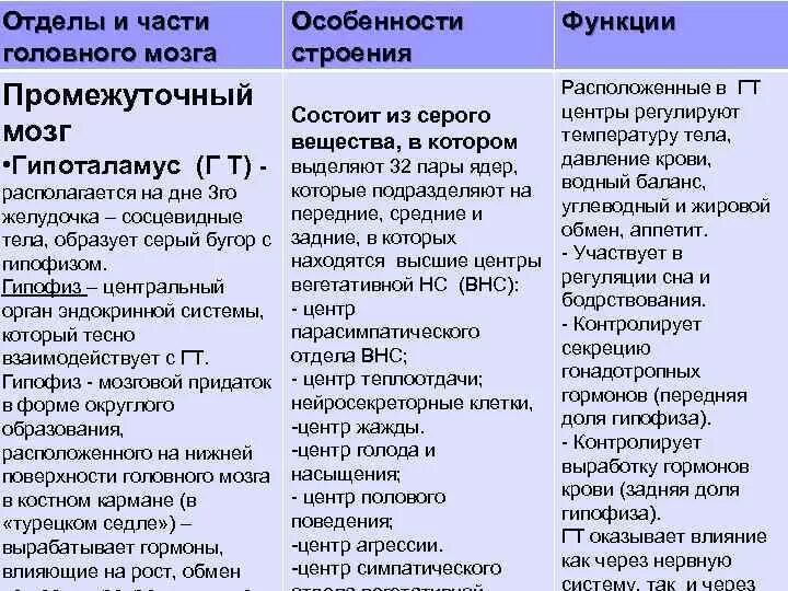 Строение и функции головного мозга таблица. Функции отделов головного мозга таблица. Структура головного мозга таблица. Строение и функции отделов головного мозга таблица. Заполните таблицу функции отделов головного мозга