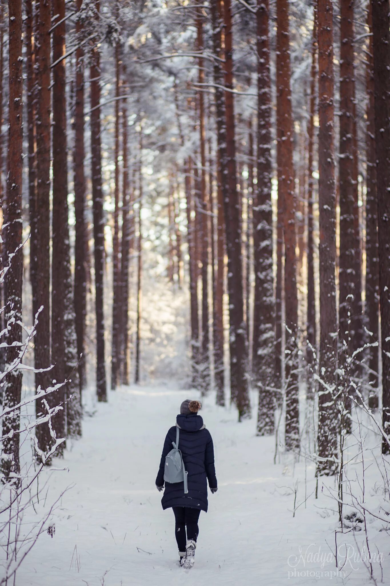 В лесу зимой можно. Прогулка по зимнему лесу. Прогулка по лесу зимой. Зимняя фотосессия. Человек в зимнем лесу.